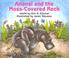 Go to record Anansi and the moss-covered rock