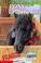 Go to record Pony in a package
