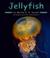Go to record Jellyfish