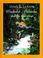 Go to record Wonderful Alexander and the Catwings : a Catwings tale