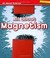 Go to record All about magnetism