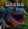 Go to record Gecko