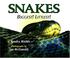 Go to record Snakes : biggest! littlest!
