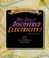 Go to record Who really discovered electricity?
