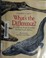 Go to record What's the difference? : a guide to some familiar animal l...