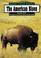 Go to record The American bison